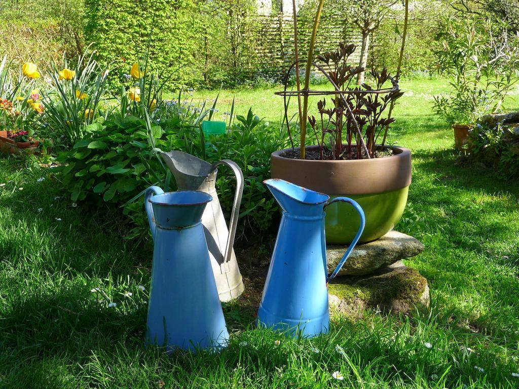 Le Jardin Aux Oiseaux Bed & Breakfast Férel Rom bilde